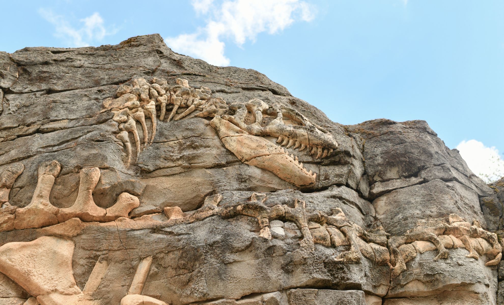  Nine-Ton Giant Dinosaur With Bizarre Duck Face Discovered