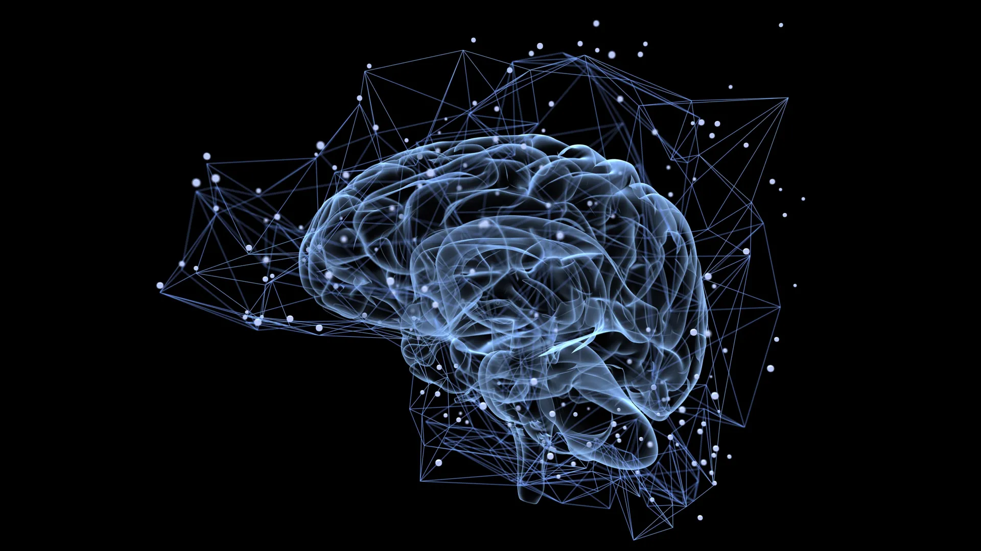  Why some memories last a lifetime while others fade fast