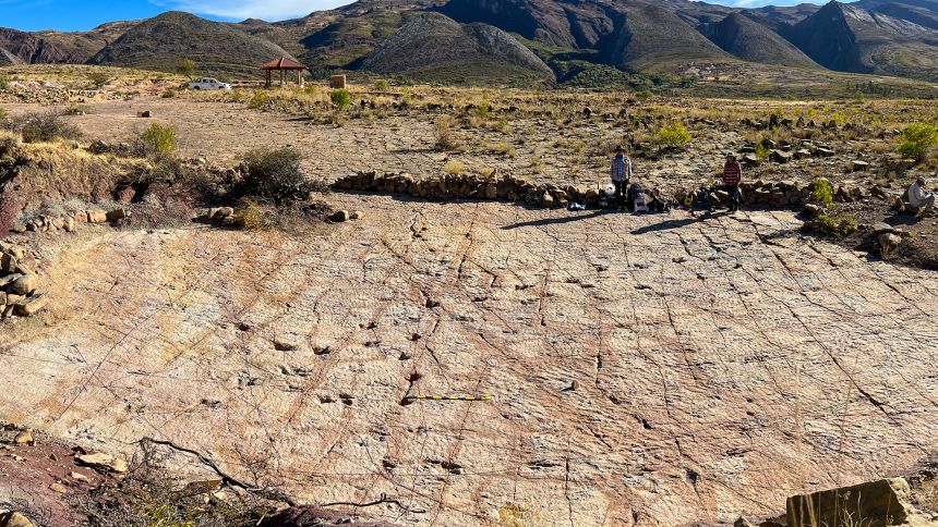 Tracksites such as Carreras Pampas reveal how dinosaurs moved. More than 16,000 theropod tracks were counted there.