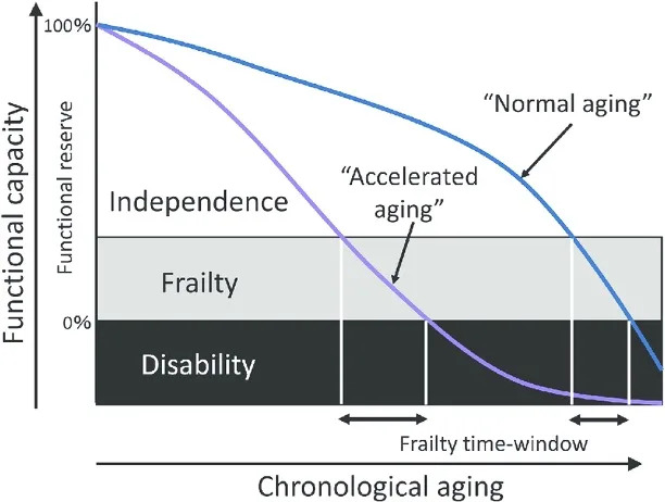 Graph showing trajectories of normal and accelerated aging where people become increasingly frail.