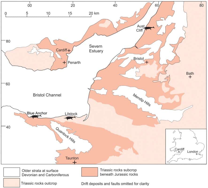 Distribution Of The Triassic Rocks In The Bristol Channel–severn Estuary Area And The Three Key Ichthyosaur Localities