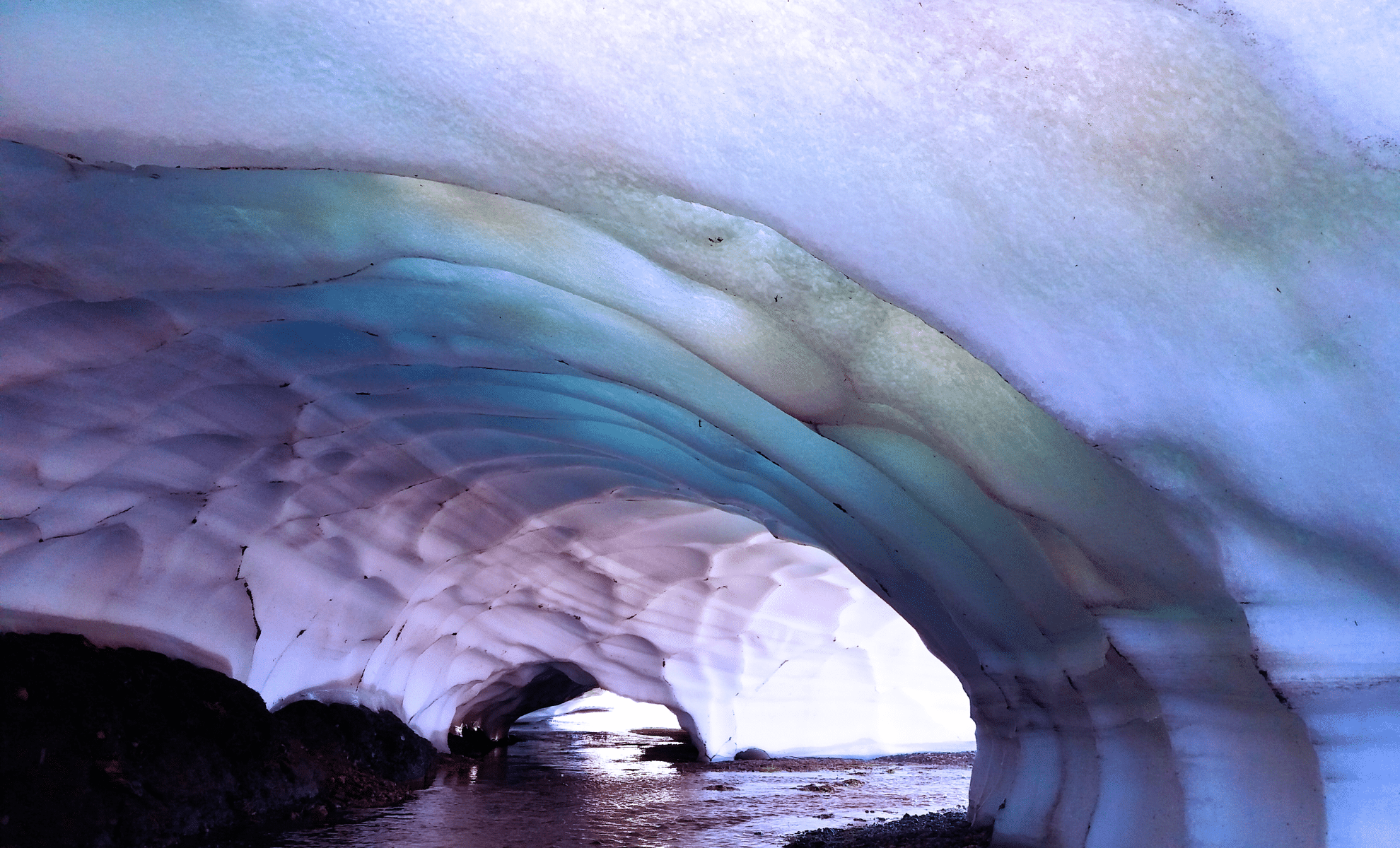  DNA Found in Cave Soil Could Rewrite What We Know About Ice Age Life!