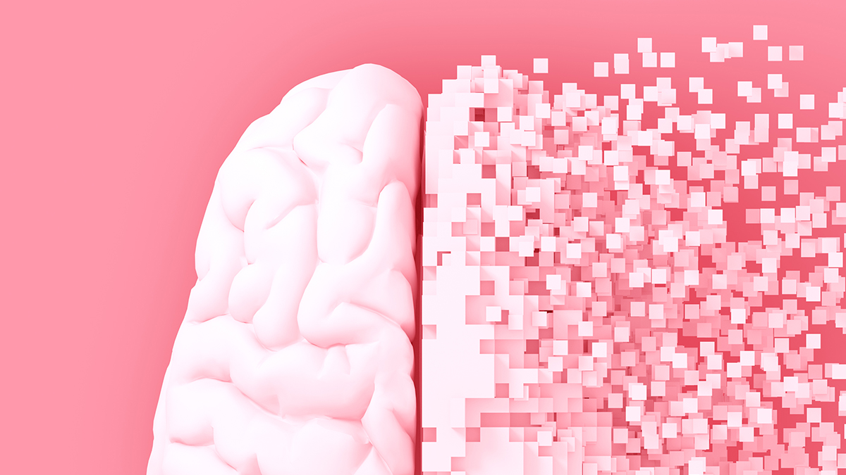  Boosting One Protein Reawakens Aging Brain Cells in Mice, Study Shows