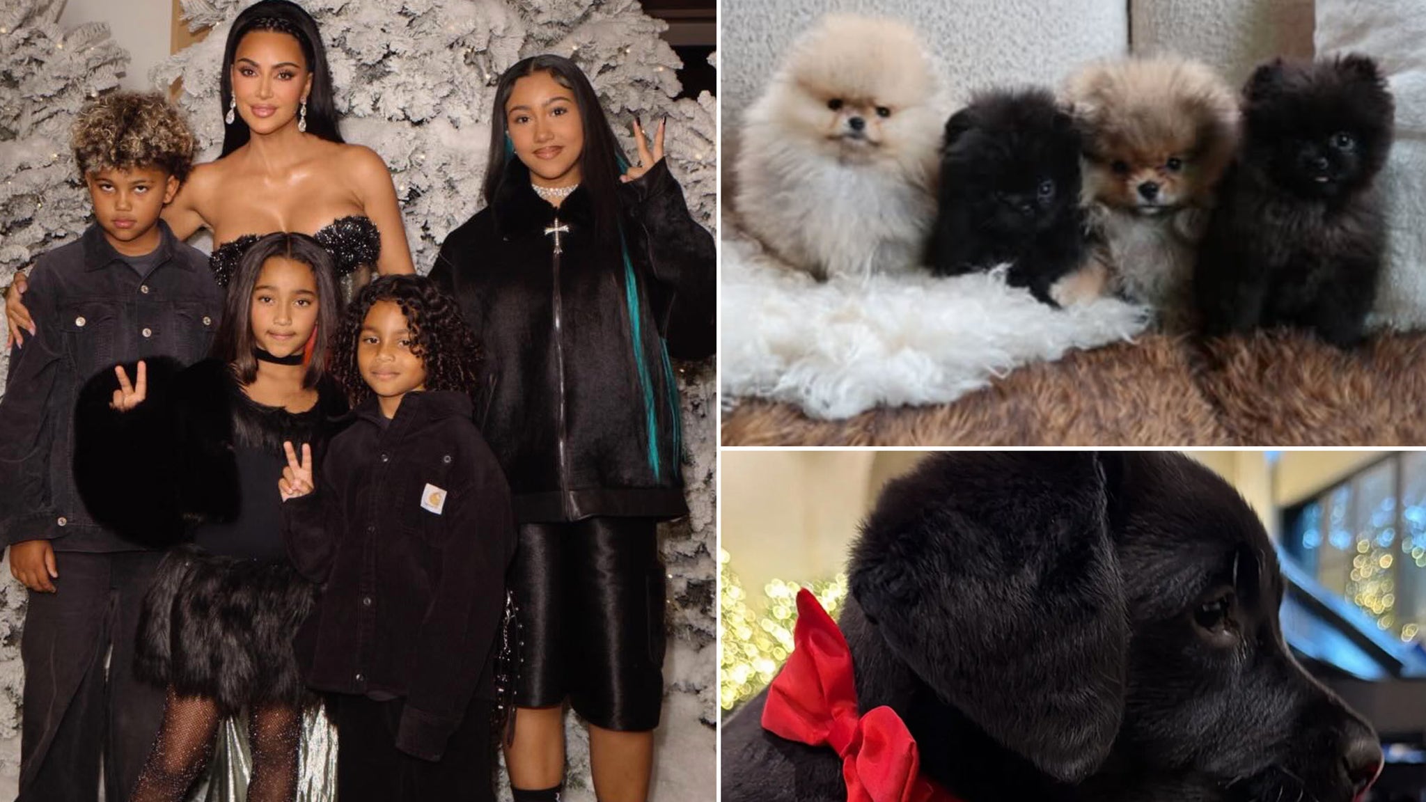  Kim Kardashian Slammed by PETA Over Puppy Present