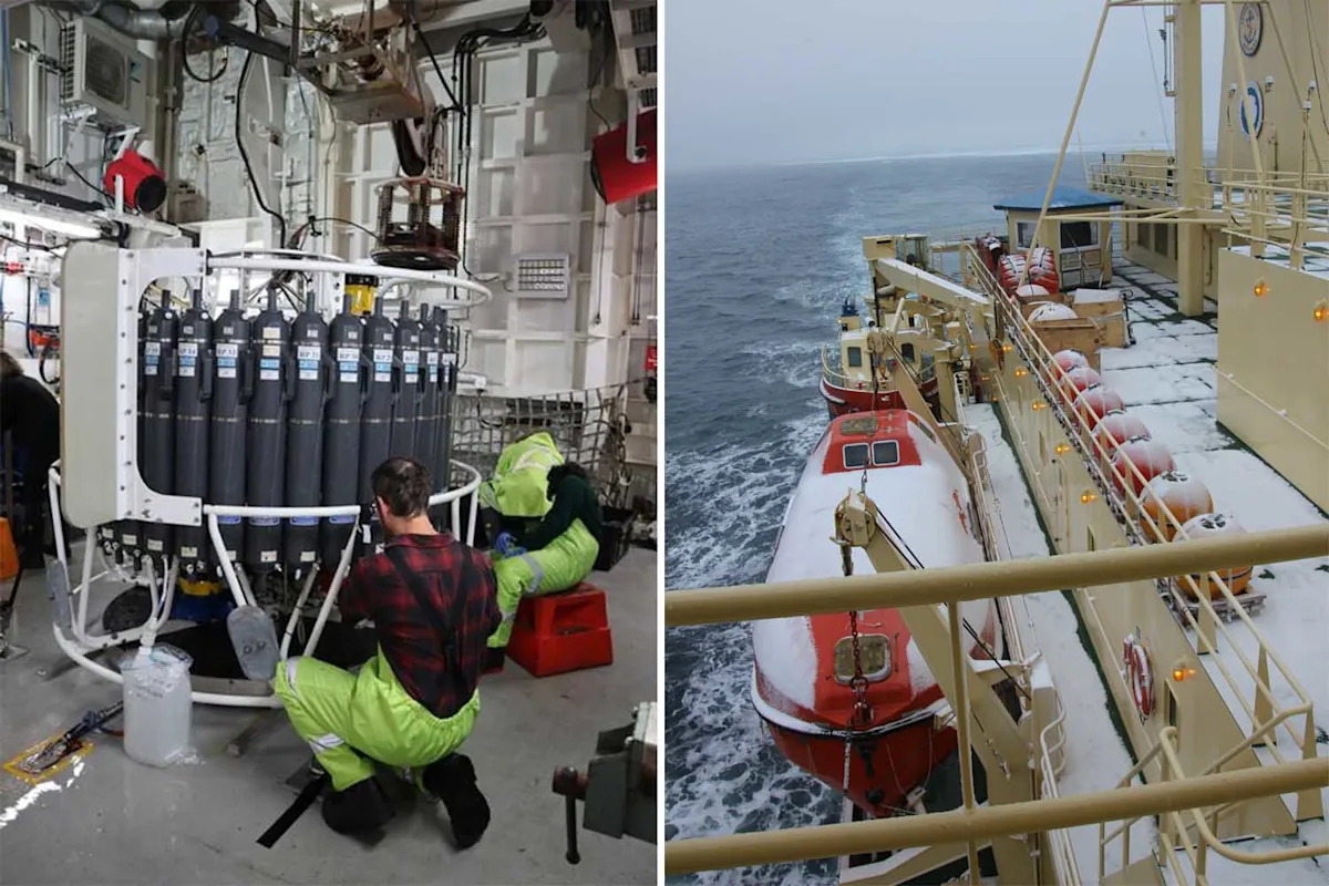  Aussie scientists warn of ‘catastrophe’ after discovery at bottom of ocean