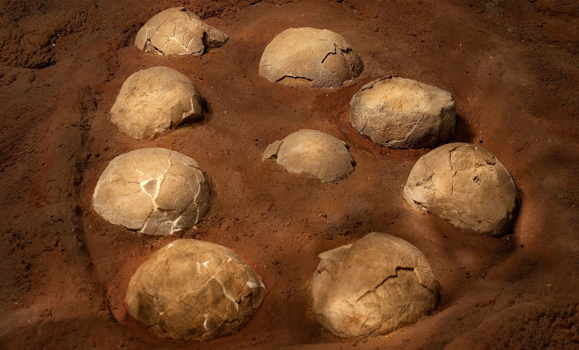  Dinosaur Eggs Hold the Ultimate Time Capsule—And Scientists Just Cracked It
