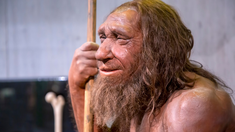 Neanderthal recreation in a museum