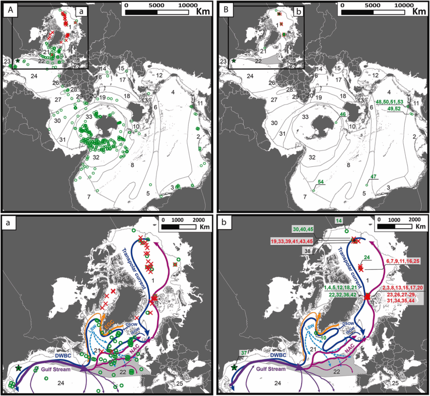  Spilhaus projection of the global ocean map, depicting the world-wide distribution of the two morphotypes of Botrynema, with a knob (Image 1) and without a knob (Image 2), gathered from source literature. Normalized records gathered from the source information are presented in frames “Aa”, and records where molecular information is available in “Bb”. Credit: Deep Sea Research. 