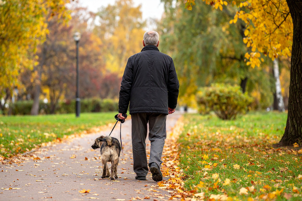 old age, pets, loneliness, dogs, neighbors, senior citizens, letters 