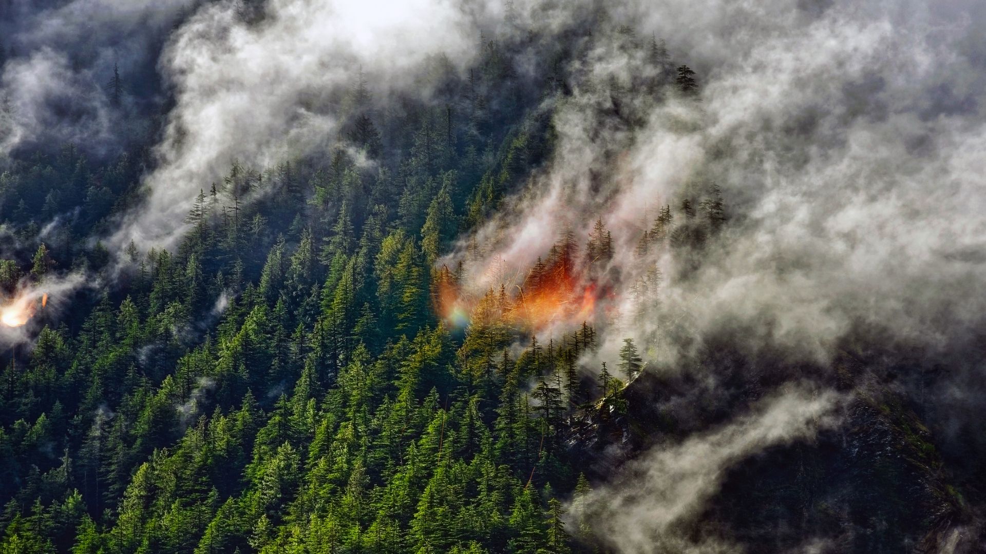  Wildfire smoke lofted miles high could have an unexpected effect on Earth’s climate