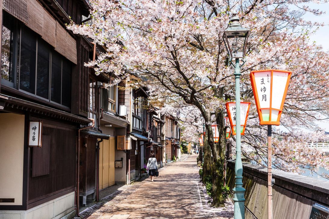 Kanazawa's Kazuemachi Chaya district is known for traditional Japanese houses and cherry blossom trees.