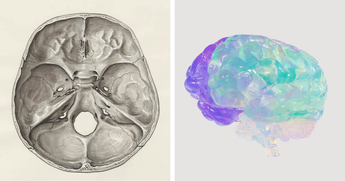  We May Actually See Our Lives Flash Before Our Eyes as We Die