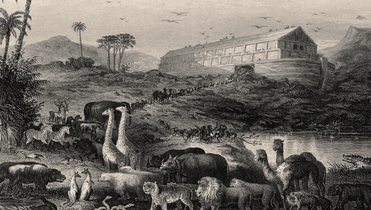  Asgardians: Scientists Find A Common Ancestor To All Animals, Plants, And Fungi On Earth