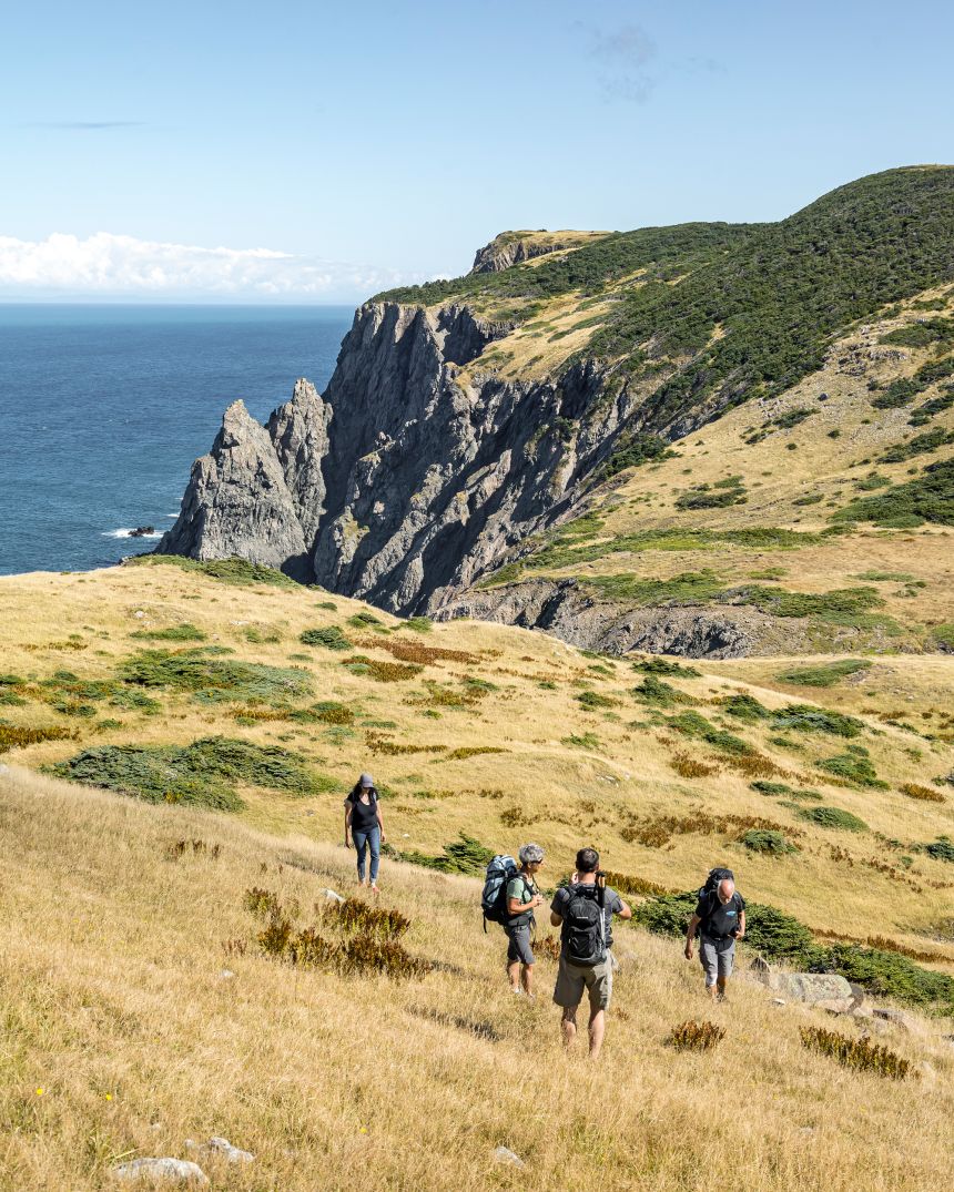 A CBC police drama called 