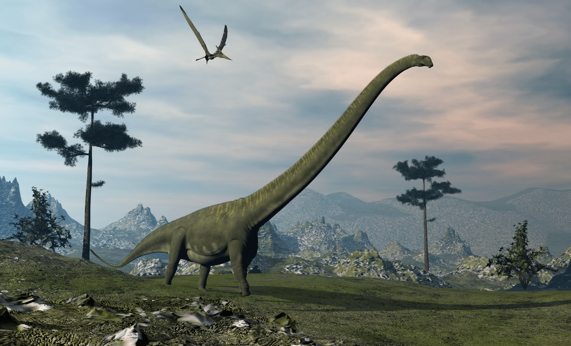  New Dinosaur Species with Incredible Long Neck Discovered in China