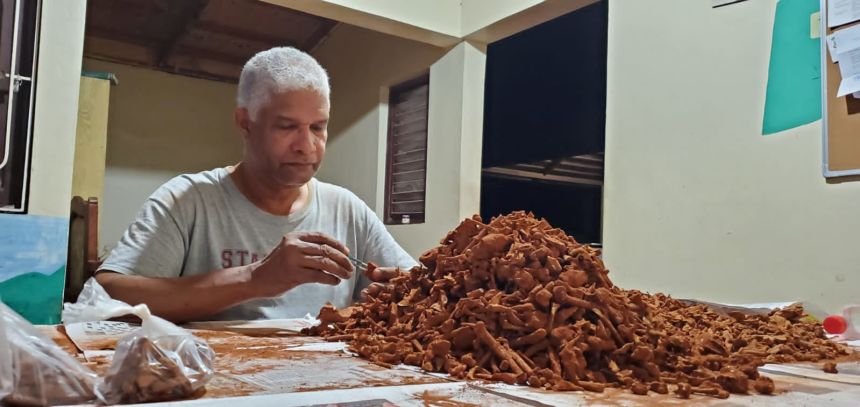 The bee nests have been classified as Osnidum almontei, named after Juan Almonte Milan.