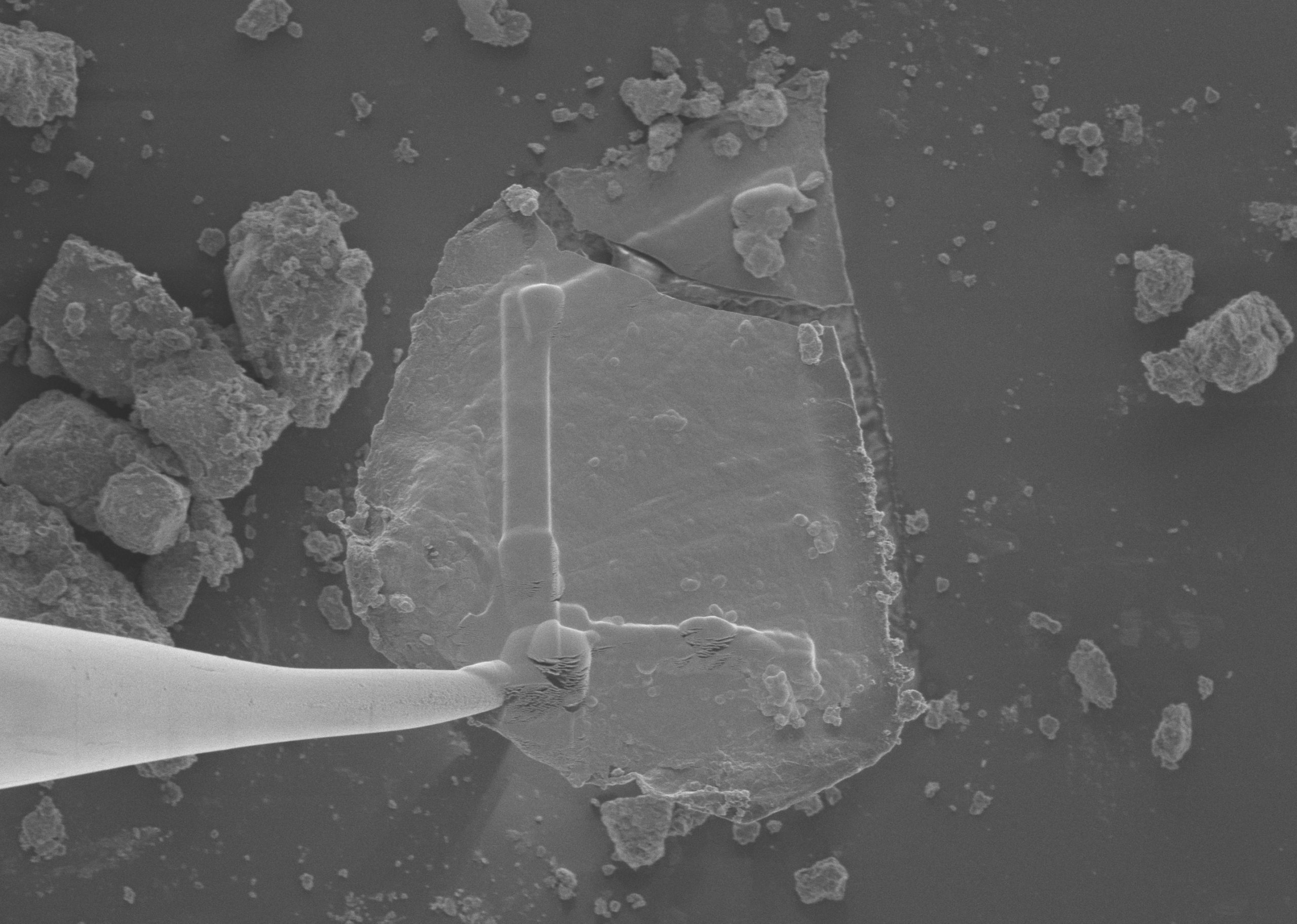  Sugars, ‘Gum,’ Stardust Found in NASA’s Asteroid Bennu Samples