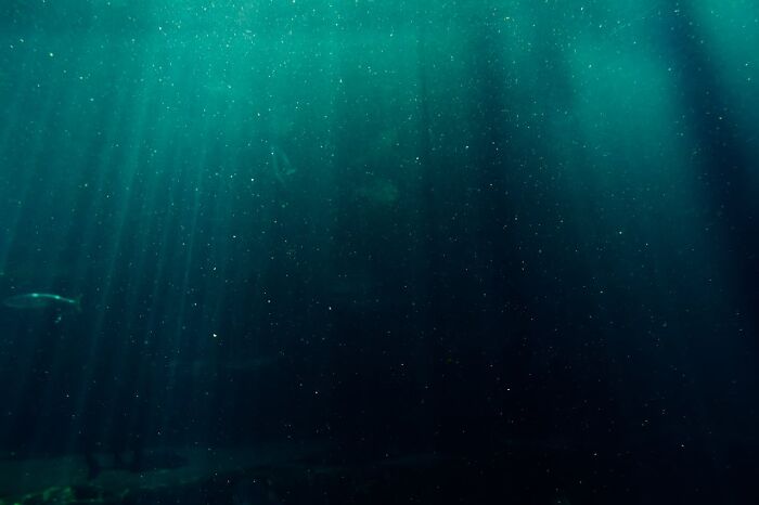 Underwater scene with light rays piercing through dark water, symbolizing mysteries we aren’t getting closer to solving