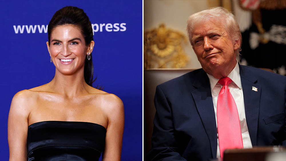  Kaitlan Collins Responds To Trump Rant Calling Her ‘Stupid And Nasty’