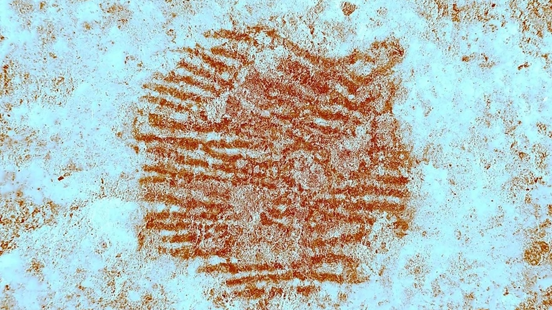 A close-up of a red fingerprint