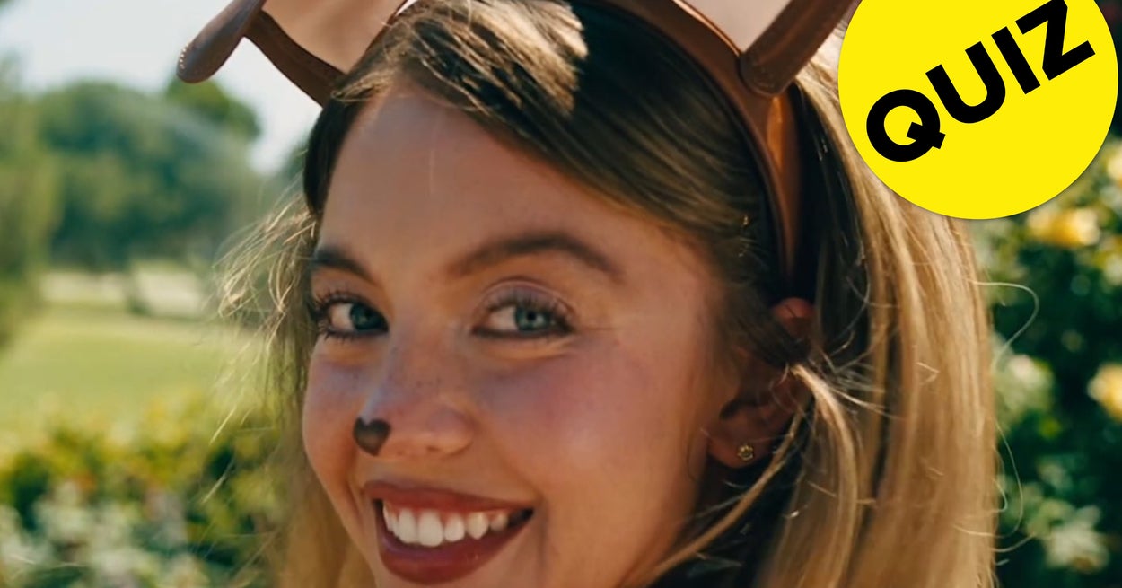  Are You A Golden Retriever Or Black Cat?