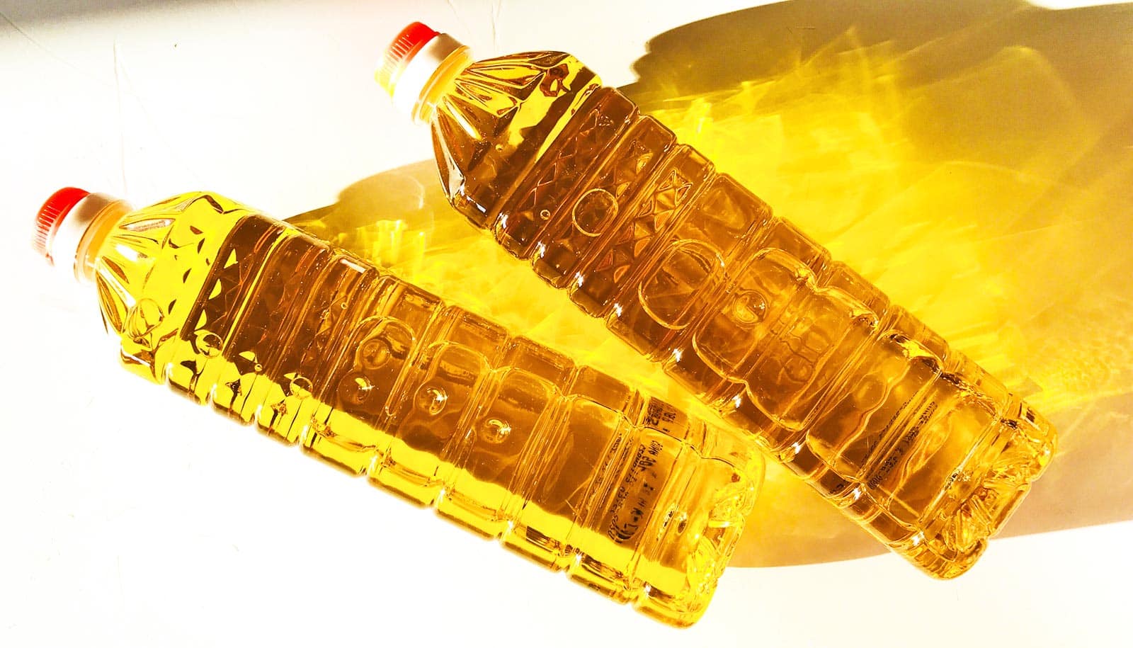  Most popular cooking oil tied to obesity