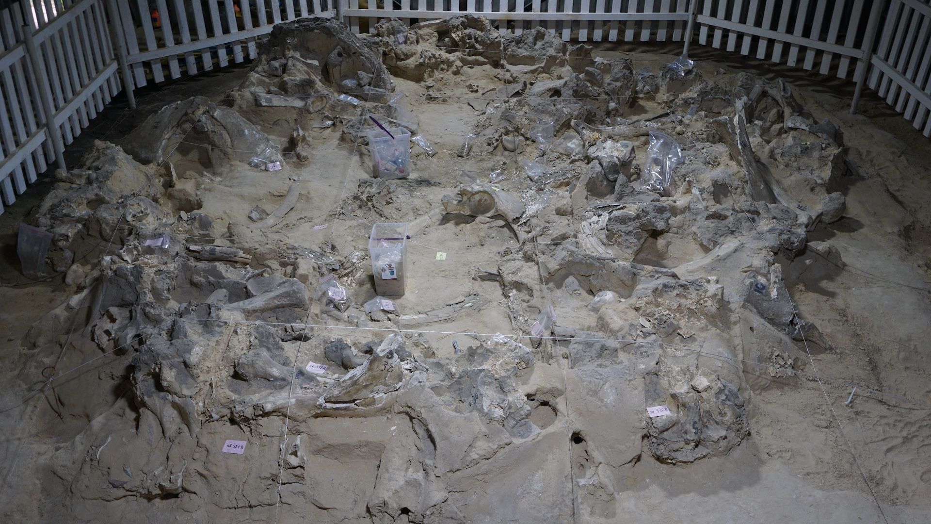  18,000 years ago, ice age humans built dwellings out of mammoth bones in Ukraine