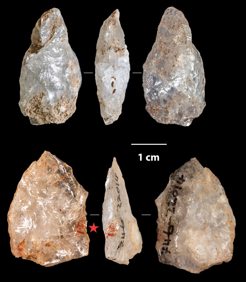 Stone points were recovered from the cremation pyre.