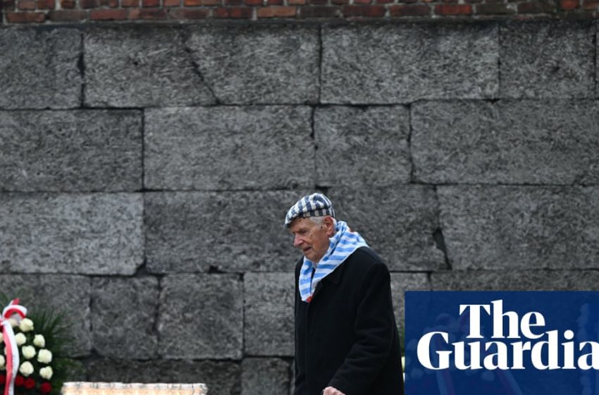  ‘I was simply luckier’: Holocaust survivors warn against forgetting Nazi atrocities | Holocaust