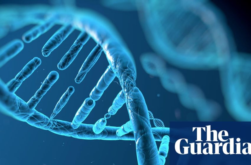  Google DeepMind launches AI tool to help identify genetic drivers of disease | Genetics