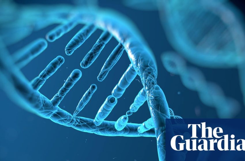  The secret to long life? It could be in the genes after all, say scientists | Genetics