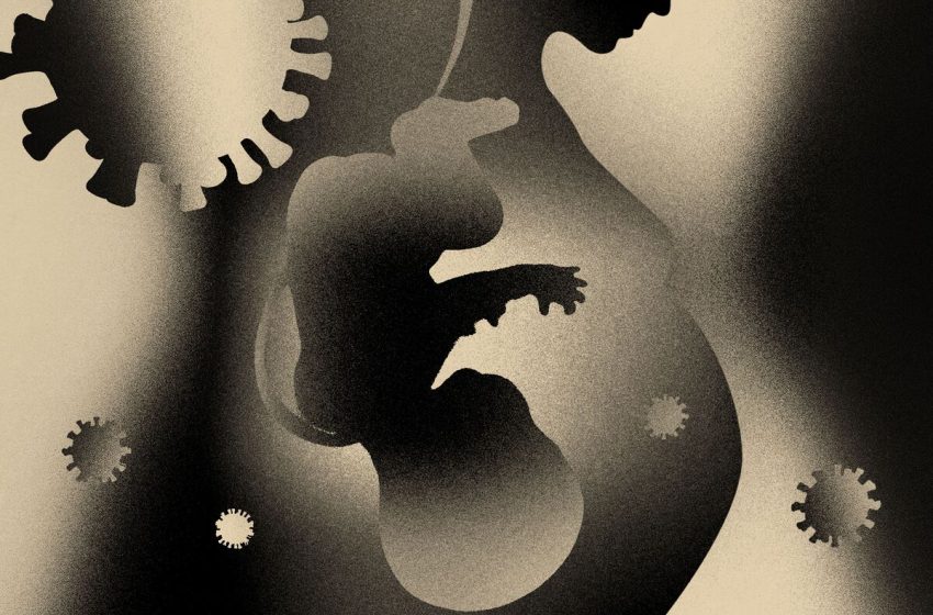  Children’s Development May Be Affected By Covid During Pregnancy