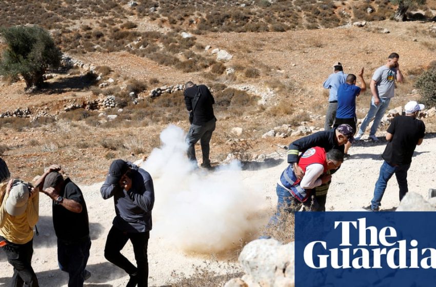  Settler-only IDF units functioning as ‘vigilante militias’ in West Bank | West Bank