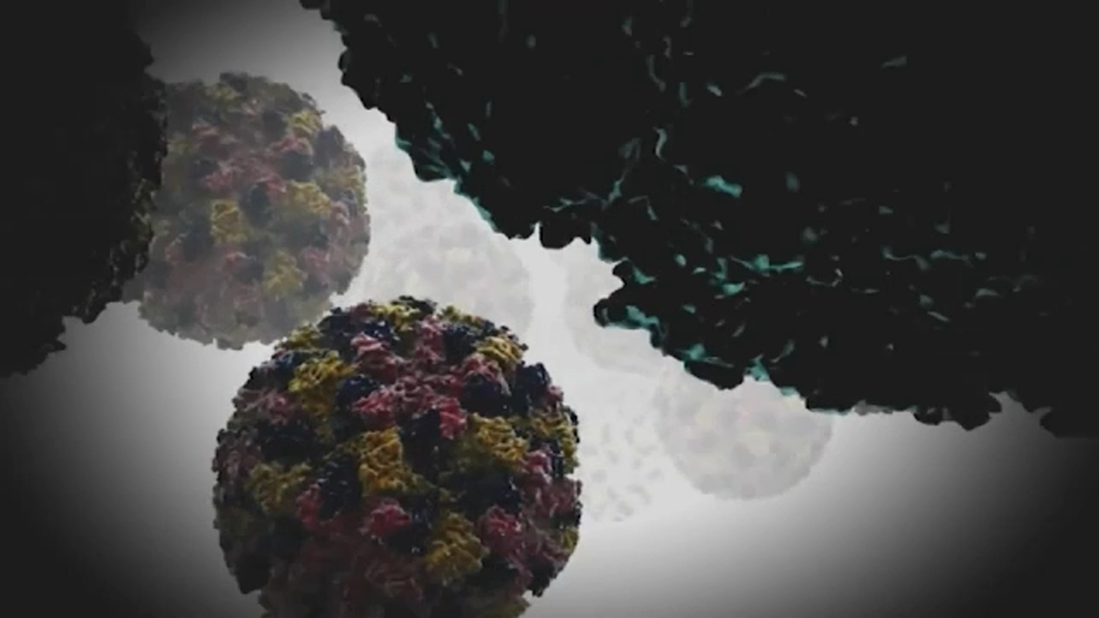  New Jersey Department of Health confirms first pediatric flu death of the 2025-2026 season