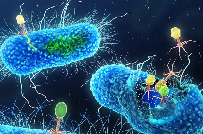  Scientists Just Watched These Entities Rapidly Evolve In Space. They Could Save Our Lives.