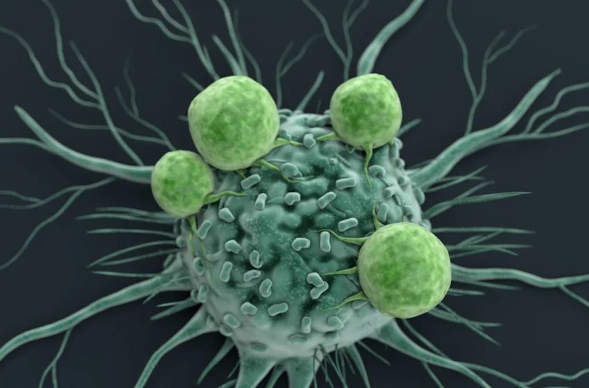  Scientists Think They Found a Way to Boost Your Immune System—and Slow Down Your Aging