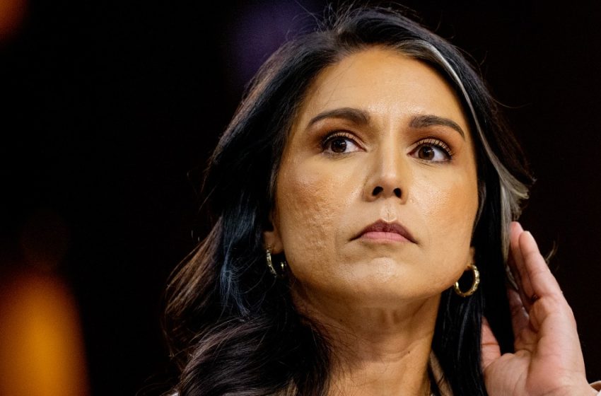  Tulsi Gabbard under scrutiny for showing up at FBI raid of Georgia election hub
