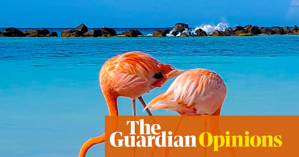  Nine scientific breakthroughs I’d like to see in 2026 – from earworms to procrastination | Emma Beddington
