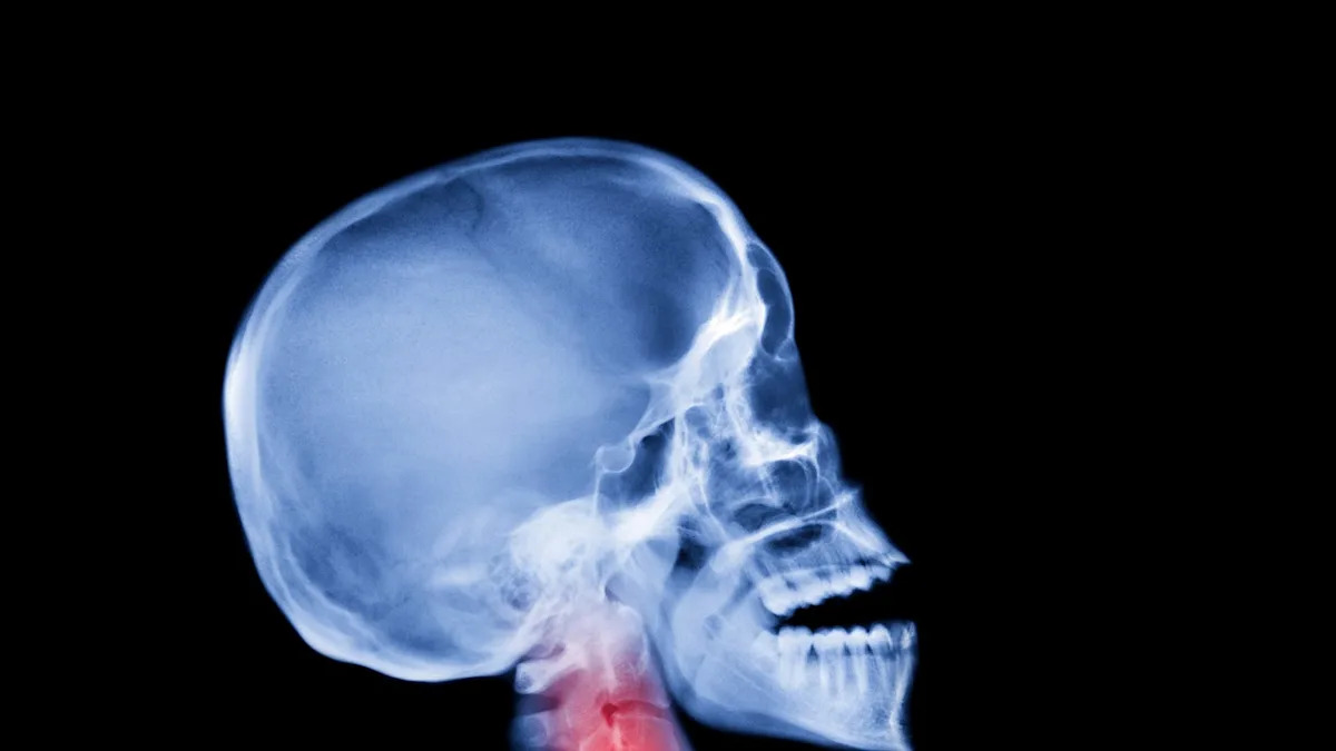  A Scientific Breakthrough Has Unveiled the Ancient Source of Our Pain