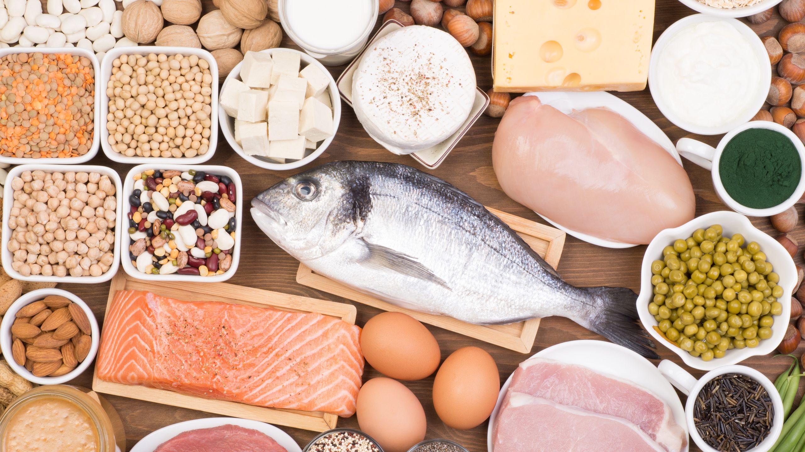  Can you eat too much protein?