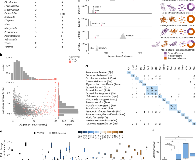  Effector–host interactome map links type III secretion systems in healthy gut microbiomes to immune modulation