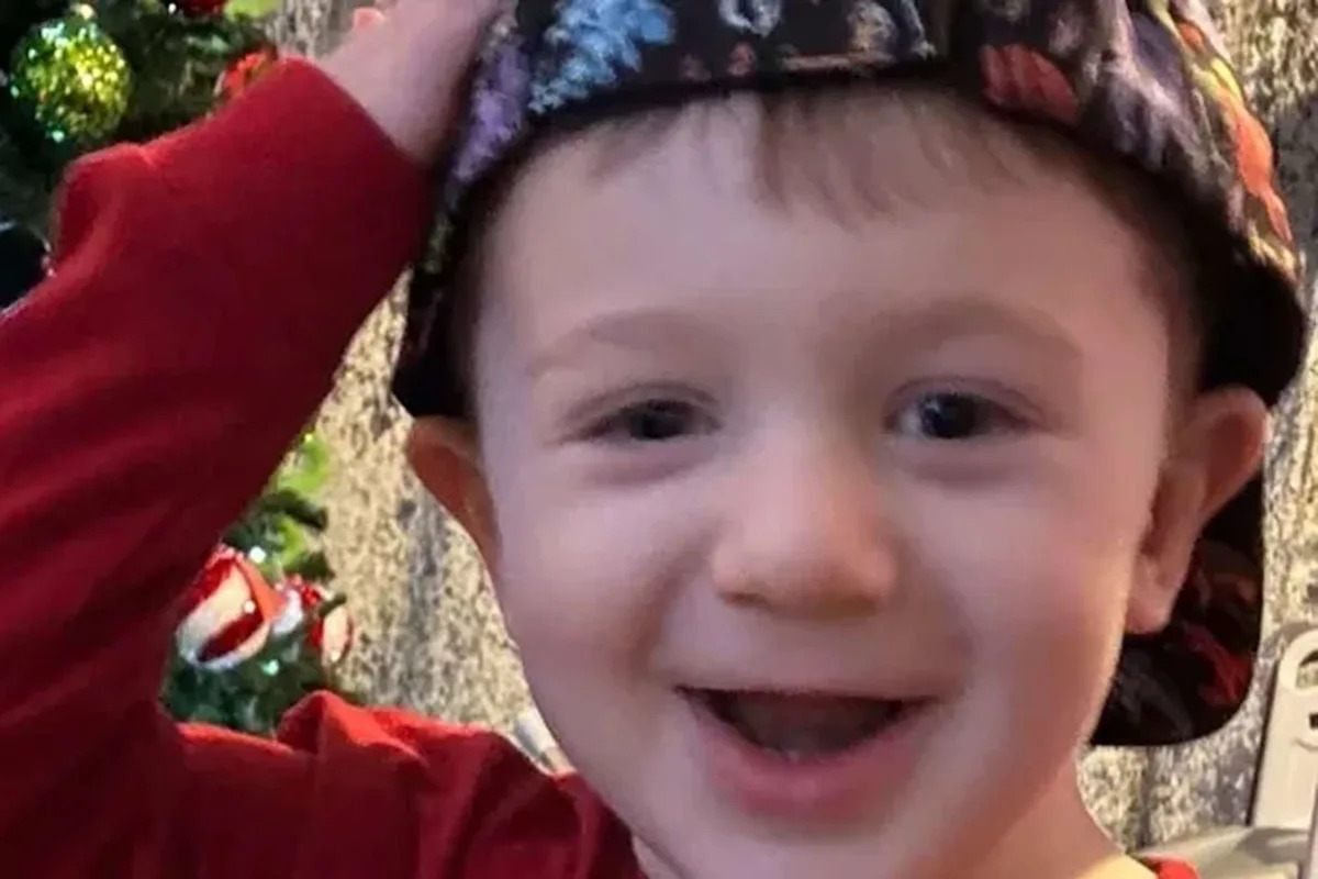  Boy, 2, Dies Suddenly from Rare Disease with Flu-Like Symptoms, Weeks Before His Birthday: He ‘Had the Biggest Personality’