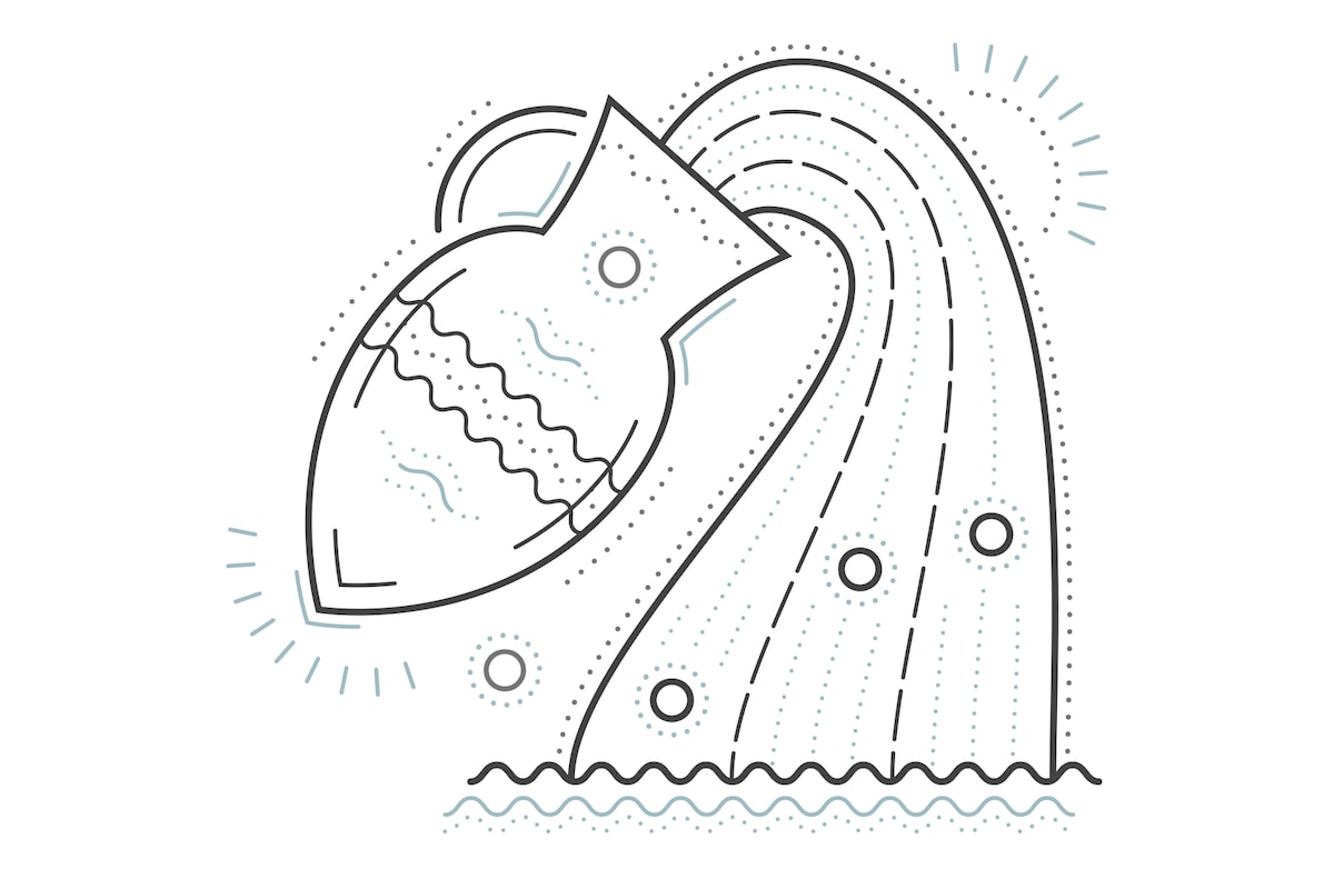  Your daily horoscope: February 4, 2026