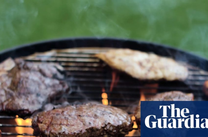  ‘Humanity’s favourite food’: how to end the livestock industry but keep eating meat | Meat industry