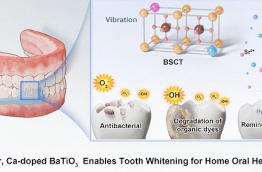  Scientists Develop Powder to Whiten Teeth With Toothbrush Vibrations