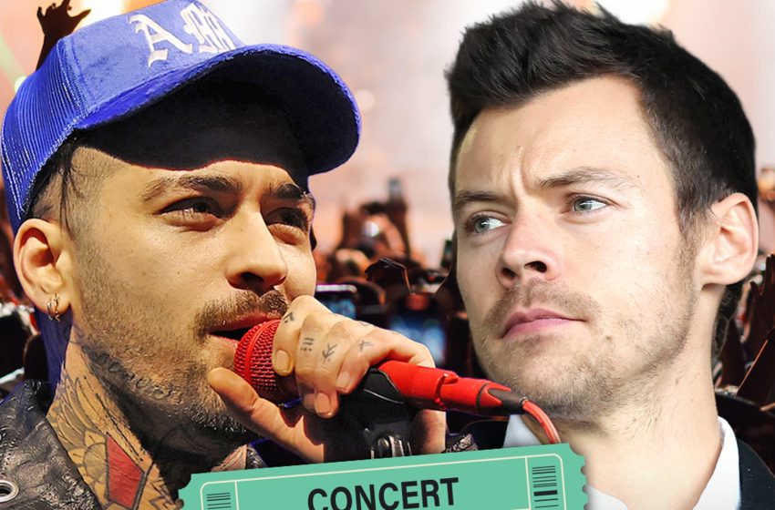  Zayn Malik Appears to Take a Dig at Harry Styles Ticket Prices