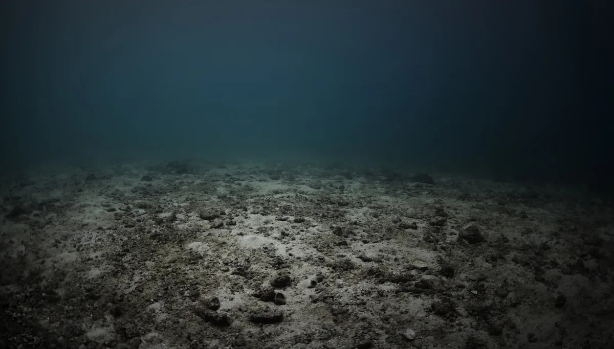  Scientists stunned by discovery in world’s coldest ocean waters: ‘Signals from the past’