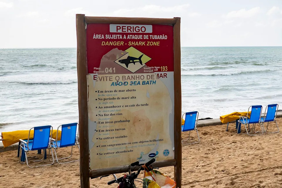 Shark warning signs in Recife, Brazil Emmanuele Contini/NurPhoto via Getty