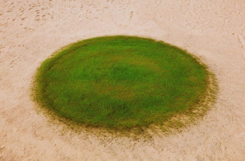  A Perfect Green Circle in the Sand? Astronauts Spot Ancient Lake Hidden in the Saudi Desert