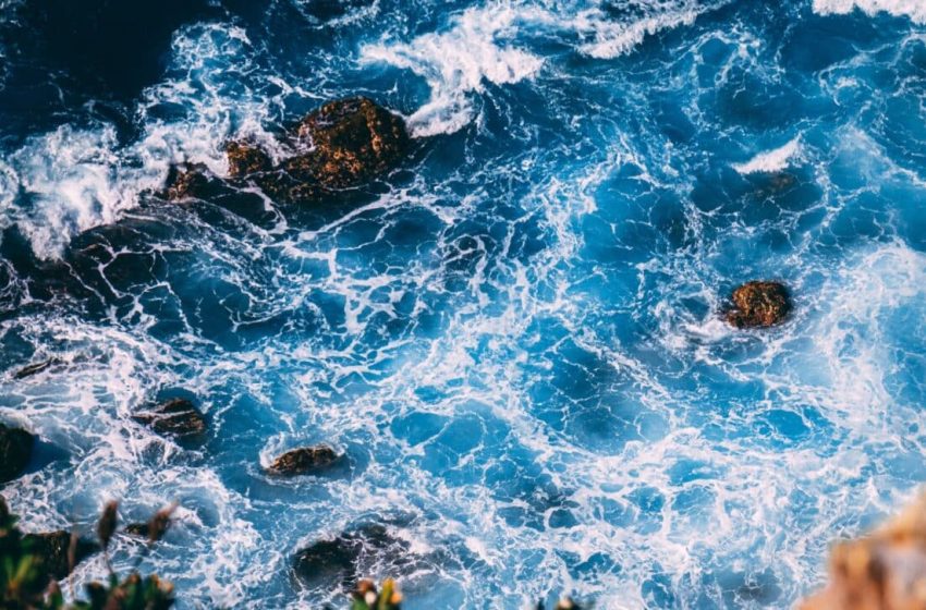  A Thin Line in the Ocean Is Doing What We Thought Was Impossible